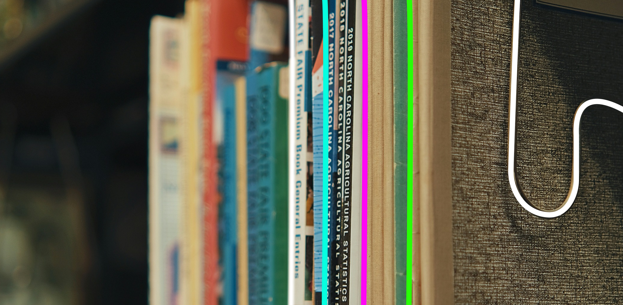 Виды выписок из ЕГРН и их отличия